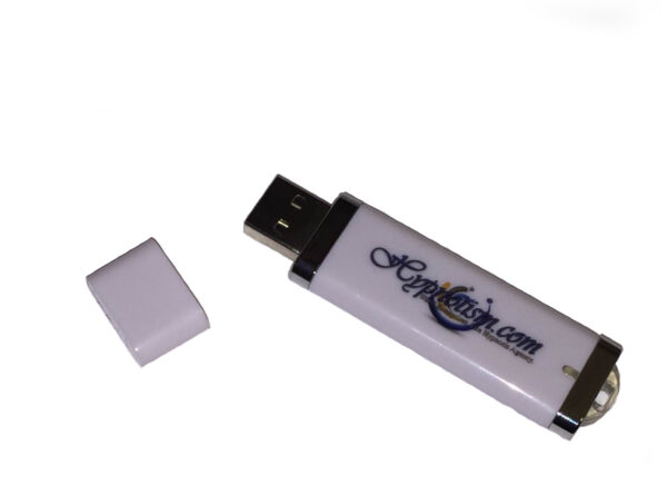 Sports Performance Flash Drive - 14 Programs in One!